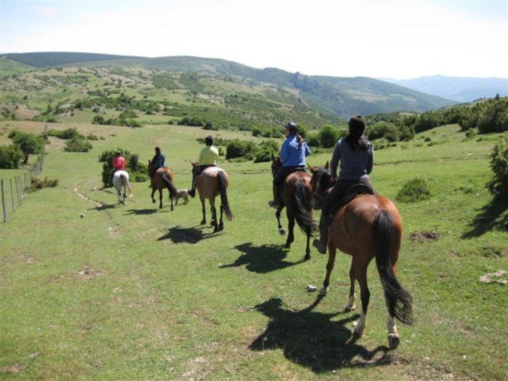 rutas a caballo en Gijón, Villaviciosa, Picos de europa, Ribadesella