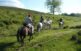 Paseo a caballo en Gijón. Rutas a caballo en Gijón