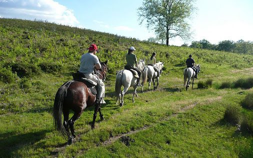 Paseo a caballo en Gijón. Rutas a caballo en Gijón